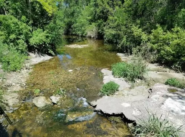 Cedar Creek, TX 78612,100 River Front DR