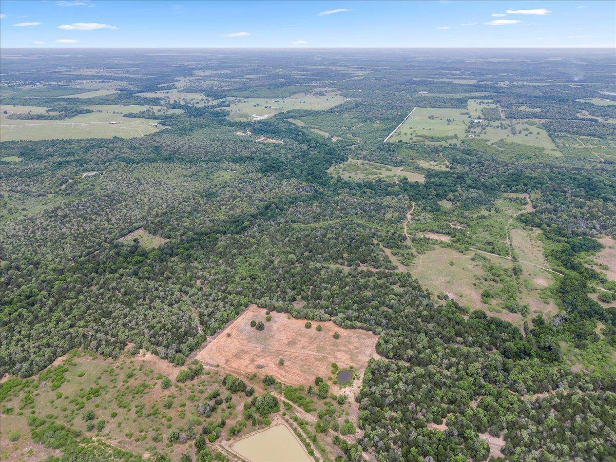 Flatonia, TX 78941,TBD 207.5 +/- ACRES ANCHOR RANCH LOOP