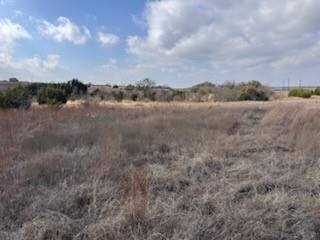 Goldthwaite, TX 76844,229 E. Rolling Oaks DR