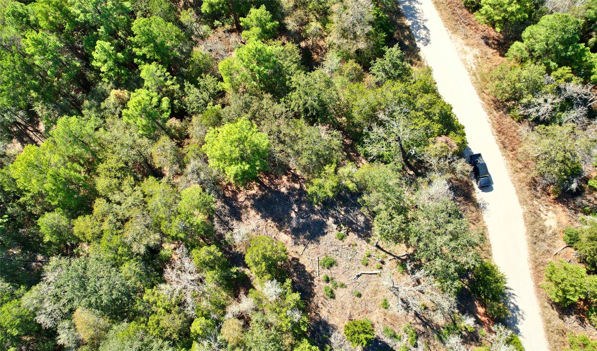 141 Helemano DR, Bastrop, TX 78602