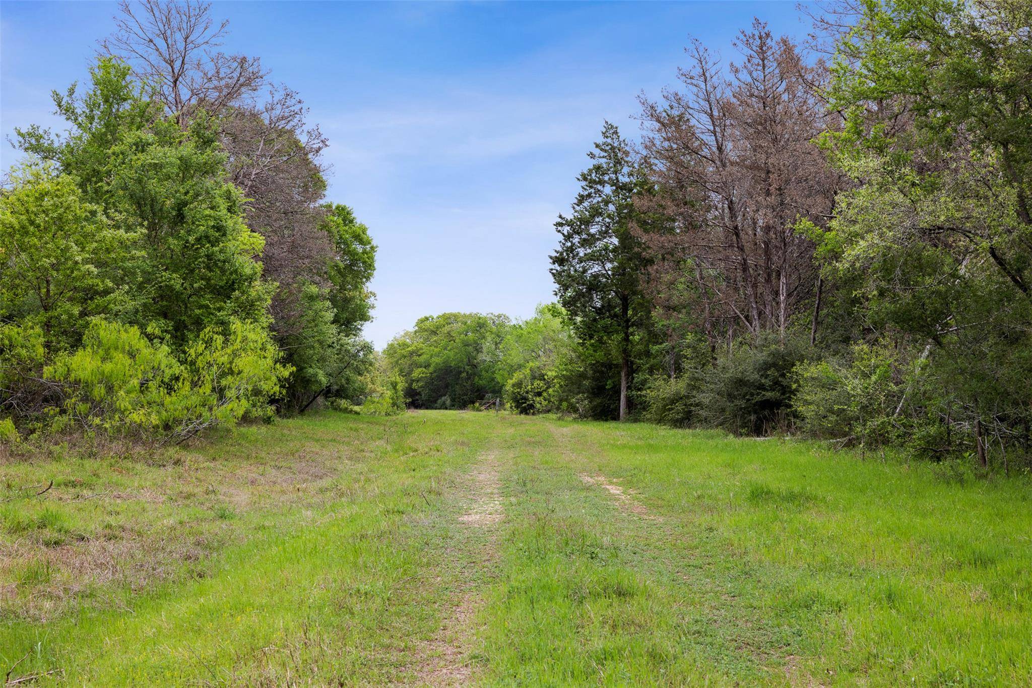 4822 Fm 1624 RD, Lexington, TX 78947
