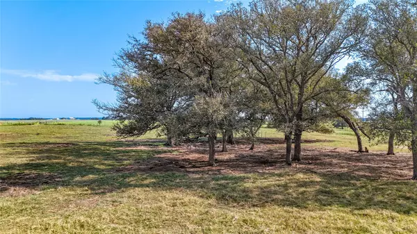 Giddings, TX 78942,TBD County Road 326 (Tract 7)