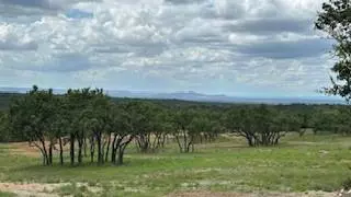 Round Mountain, TX 78663,2078 W Ranch Road 962, LOT 29 RD