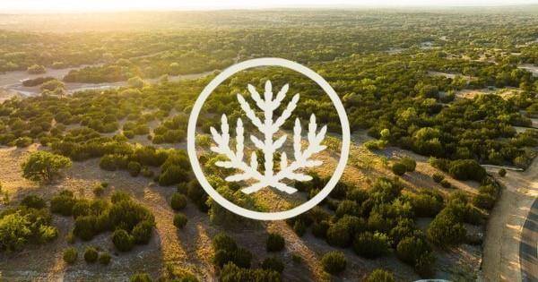 2078 W Ranch Road 962, LOT 29 RD, Round Mountain, TX 78663