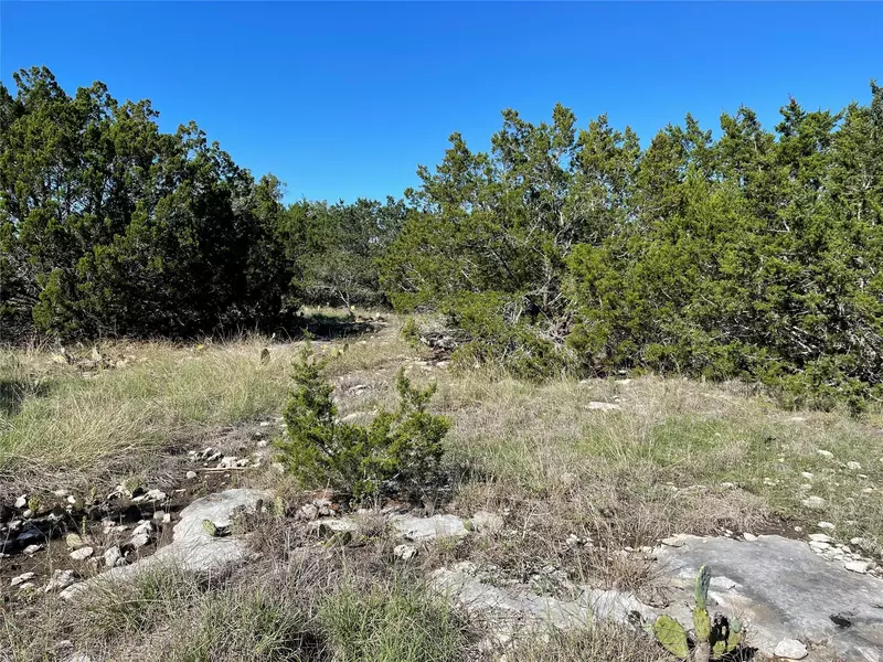 109 Sunset Peak, Bertram, TX 78605