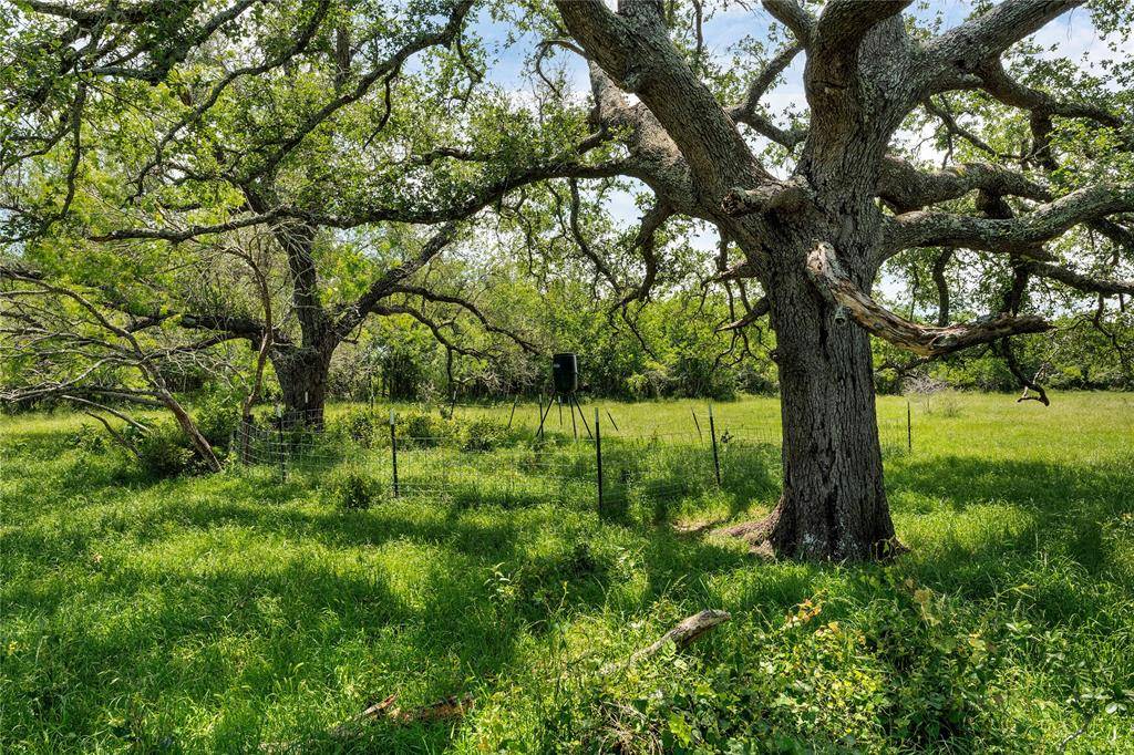 4207 County Road 444, Waelder, TX 78959