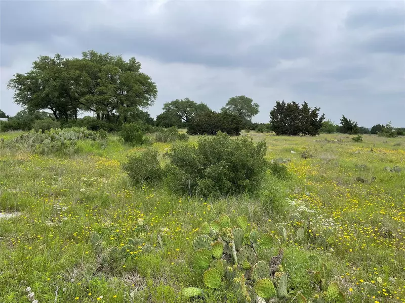 Lot 63 Three Creeks DR, Bertram, TX 78605