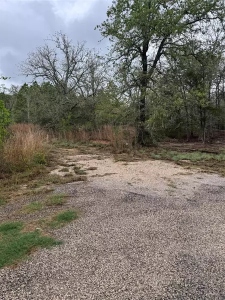 118 Laguna, Smithville, TX 78957