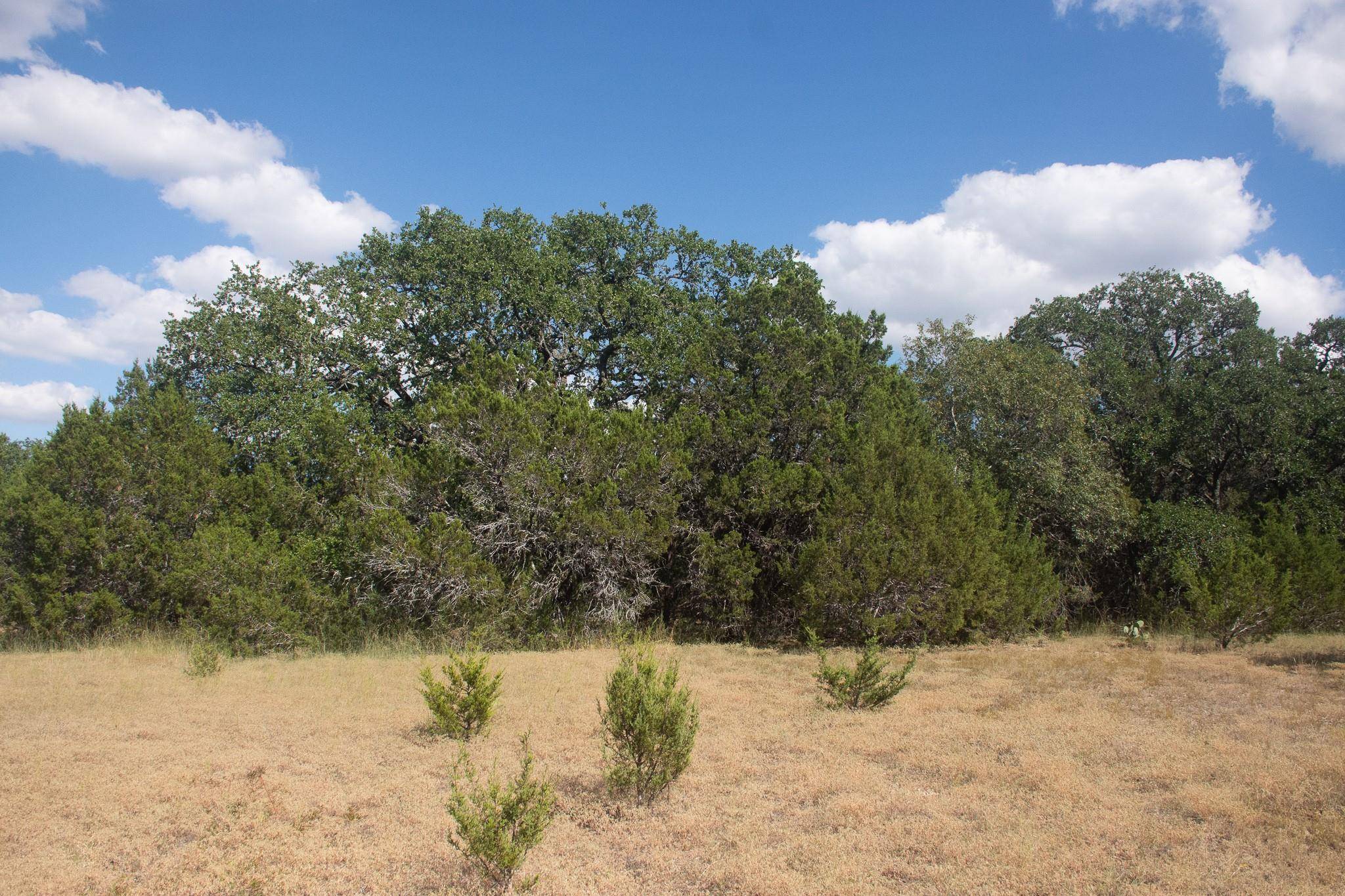 Burnet, TX 78611,000 CR 206