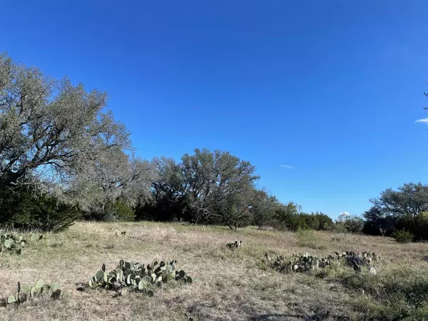 Goldthwaite, TX 76844,119 Spanish Oak DR