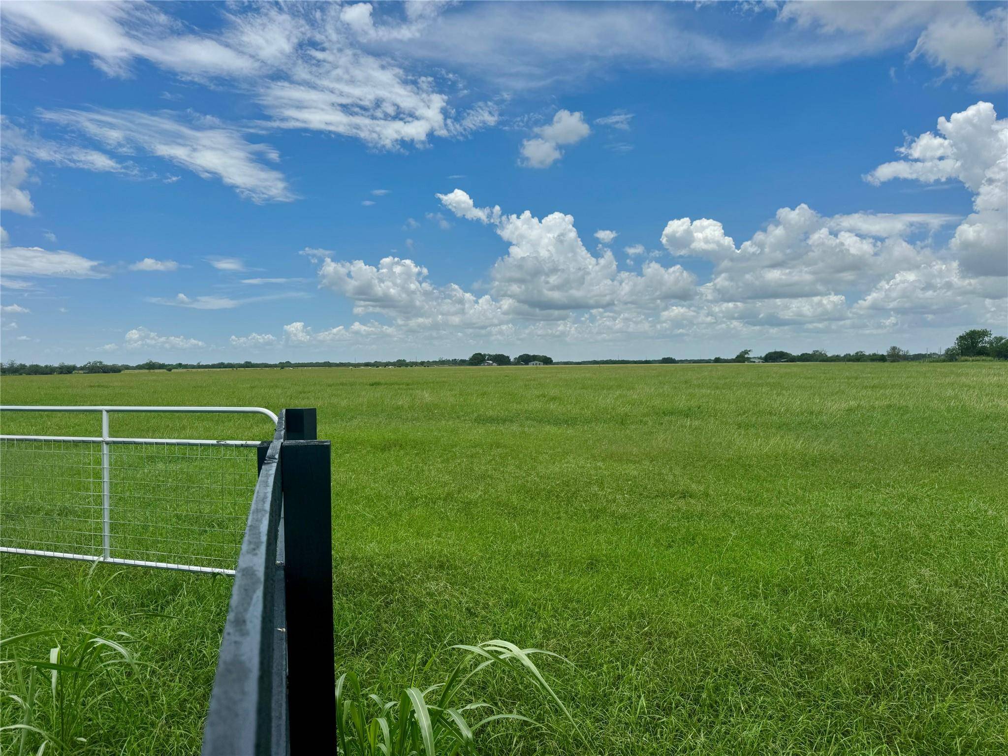 Seguin, TX 78155,TBD Lot 1 Hoffman RD