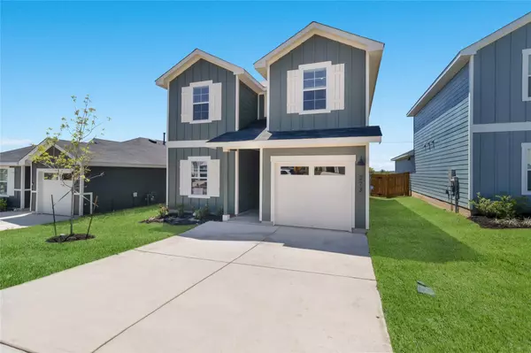 Uhland, TX 78640,273 Celosia LOOP