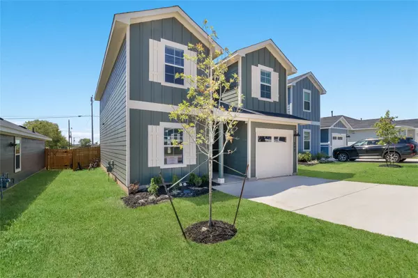 Uhland, TX 78640,273 Celosia LOOP