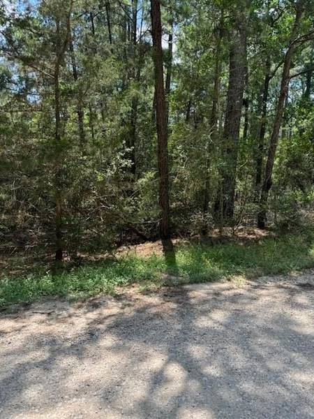 Lot 250 Hekili DR, Bastrop, TX 78602