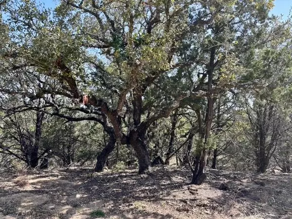 Wimberley, TX 78676,220 Estates RD