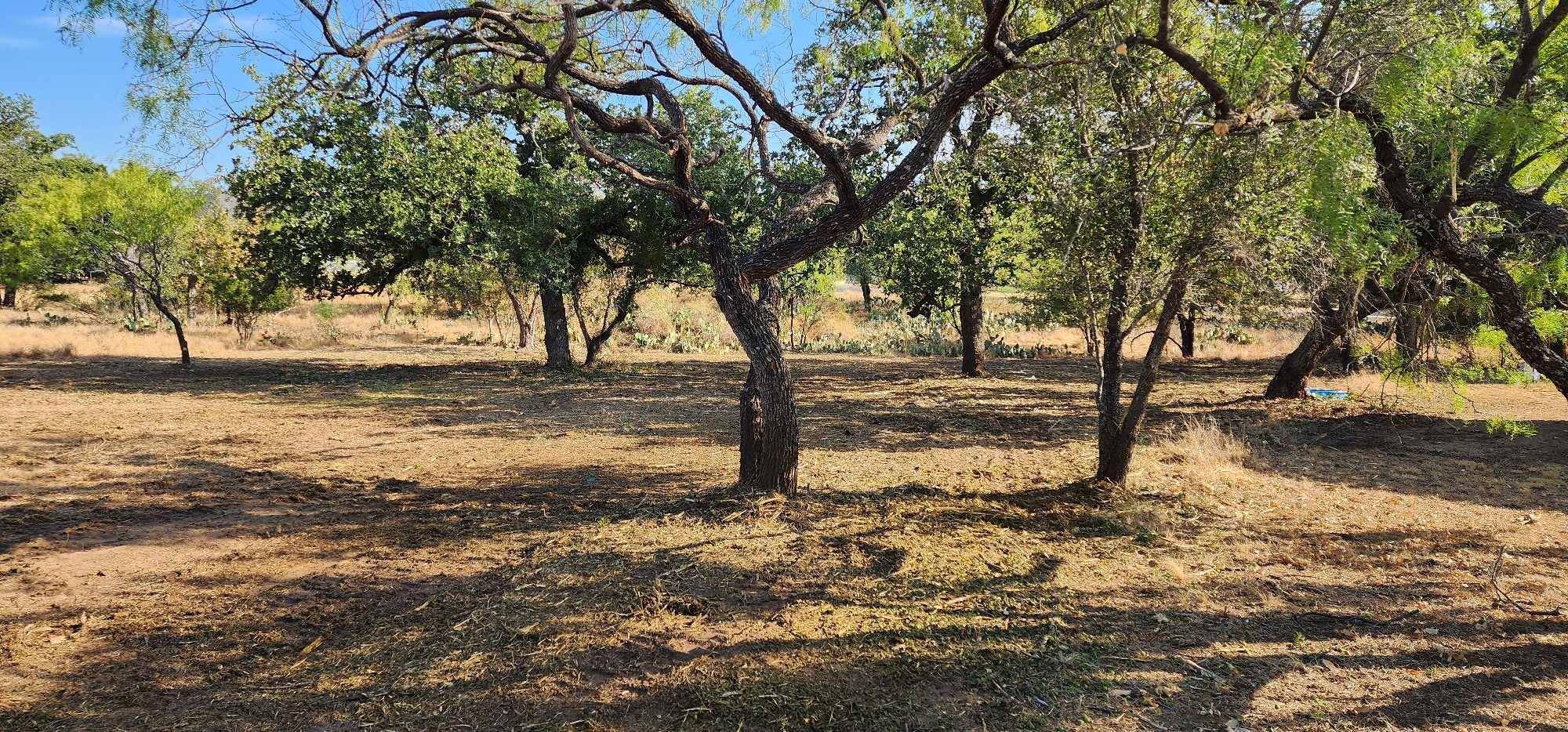 Granite Shoals, TX 78654,8529 Bluebonnet