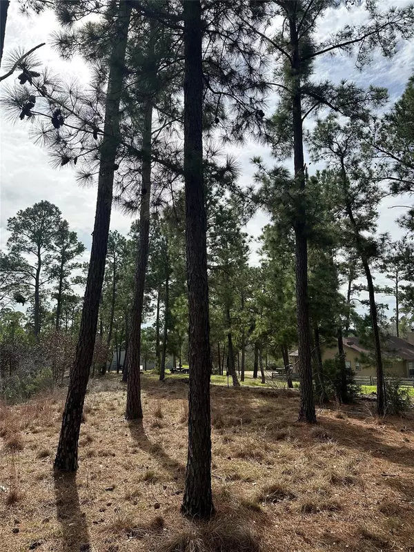 Bastrop, TX 78602,TBD Mahalo CT
