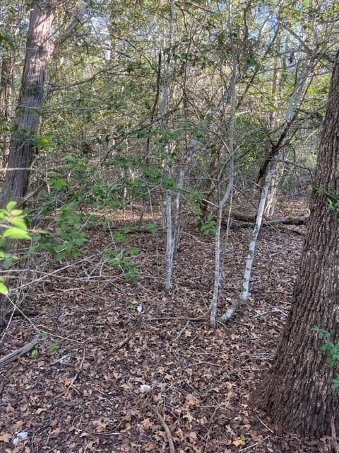Lot 631 Hilea CT, Bastrop, TX 78692