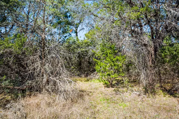 Spicewood, TX 78669,TBD Pedernales Canyon Trail