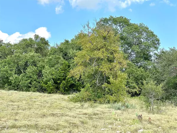 Goldthwaite, TX 76844,TBD County Road 325