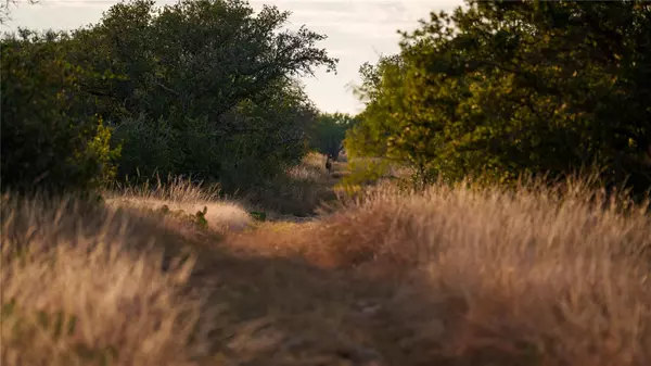 Brady, TX 76858,8500 Buck Ridge DR