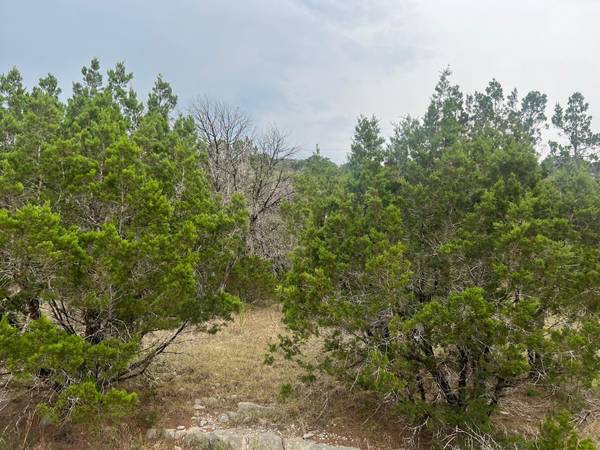 651 Rockmoor DR, Canyon Lake, TX 78133