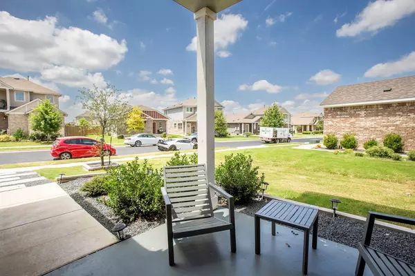 Georgetown, TX 78626,304 Arabian Colt DR