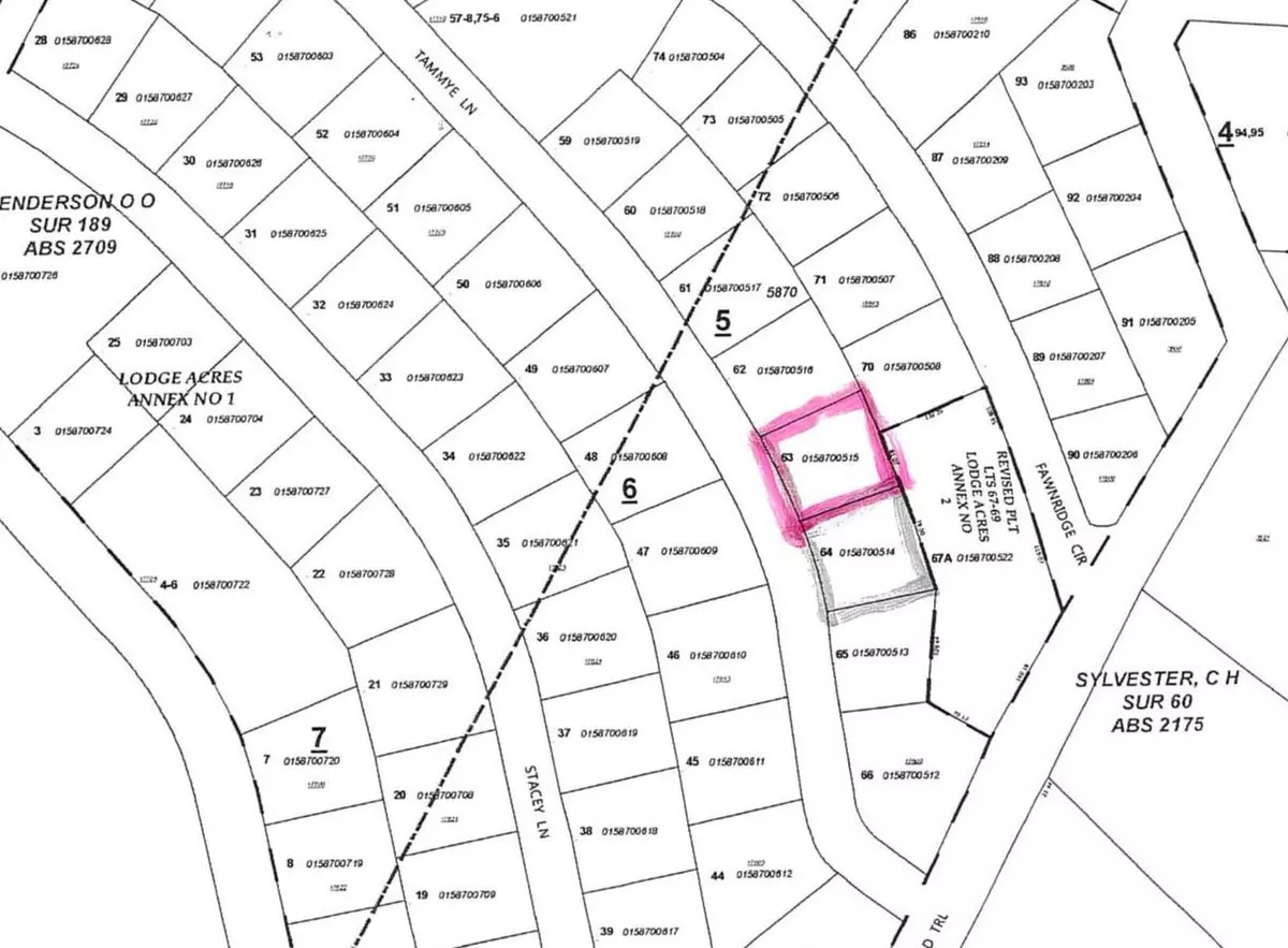 Lago Vista, TX 78645,0 Tammye LN