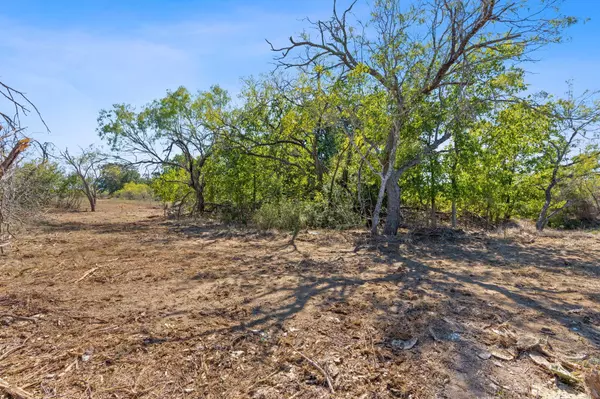 Dale, TX 78616,Lot 5 Tumbleweed TRL