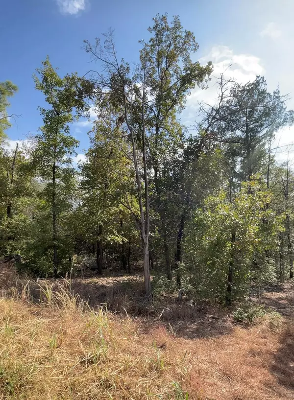 Bastrop, TX 78602,165 Lamaloa LN