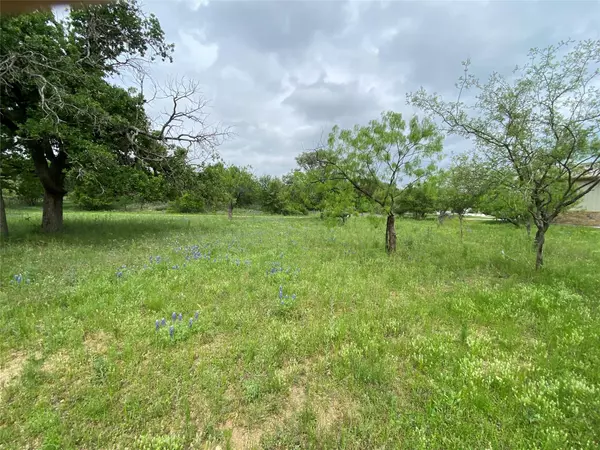 Granite Shoals, TX 78654,Lot 397 E. Mesquite Dr.