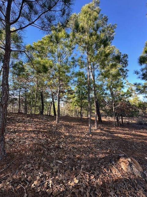 Bastrop, TX 78602,0 TBD Hana CT