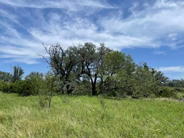 Goldthwaite, TX 76844,221 W Rolling Oaks DR