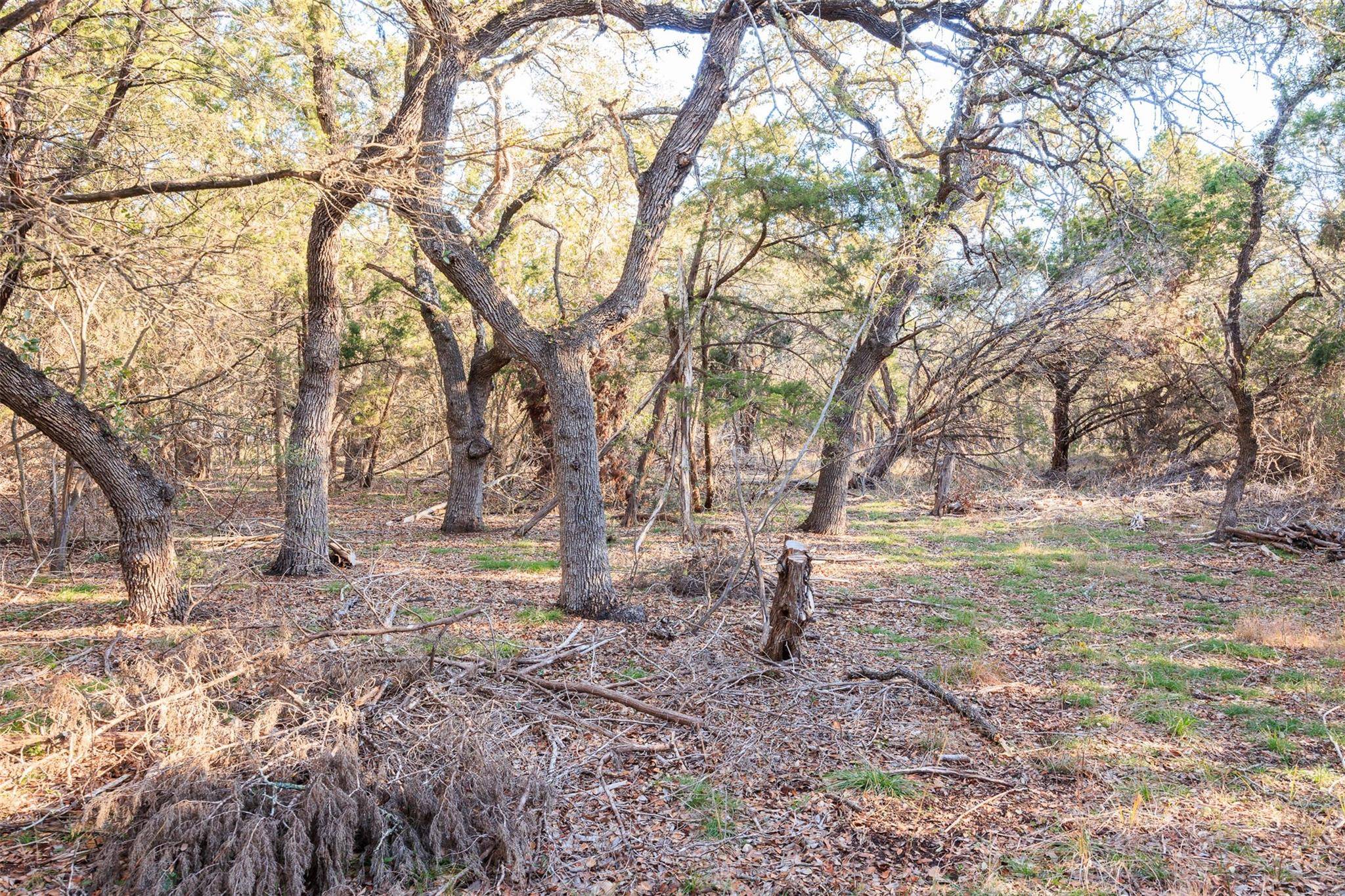 Wimberley, TX 78676,202,204,208 Thomas Oaks DR