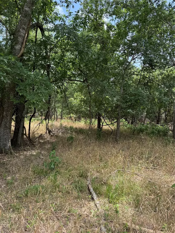 Bastrop, TX 78602,Lot 904 Kahana LN