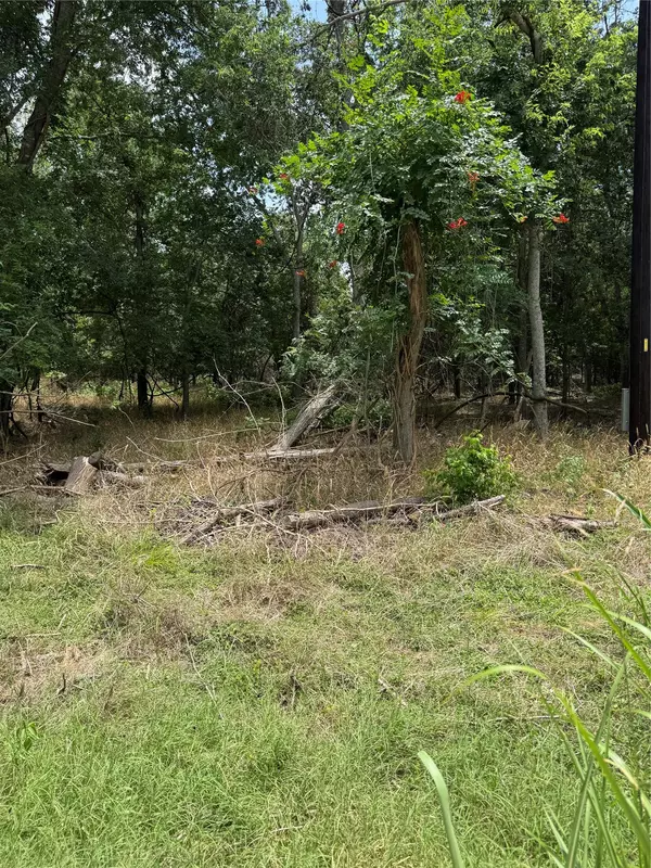 Bastrop, TX 78602,Lot 904 Kahana LN