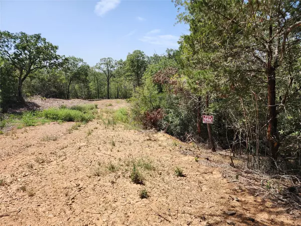 Bastrop, TX 78602,LOT 310 Kalihi Court CT