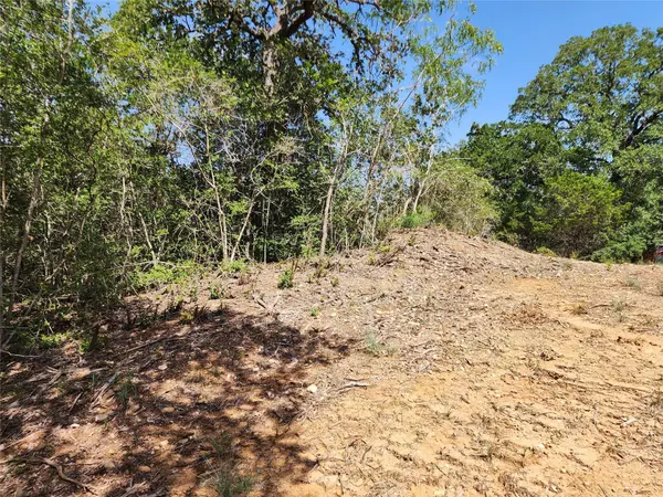 Bastrop, TX 78602,LOT 310 Kalihi Court CT