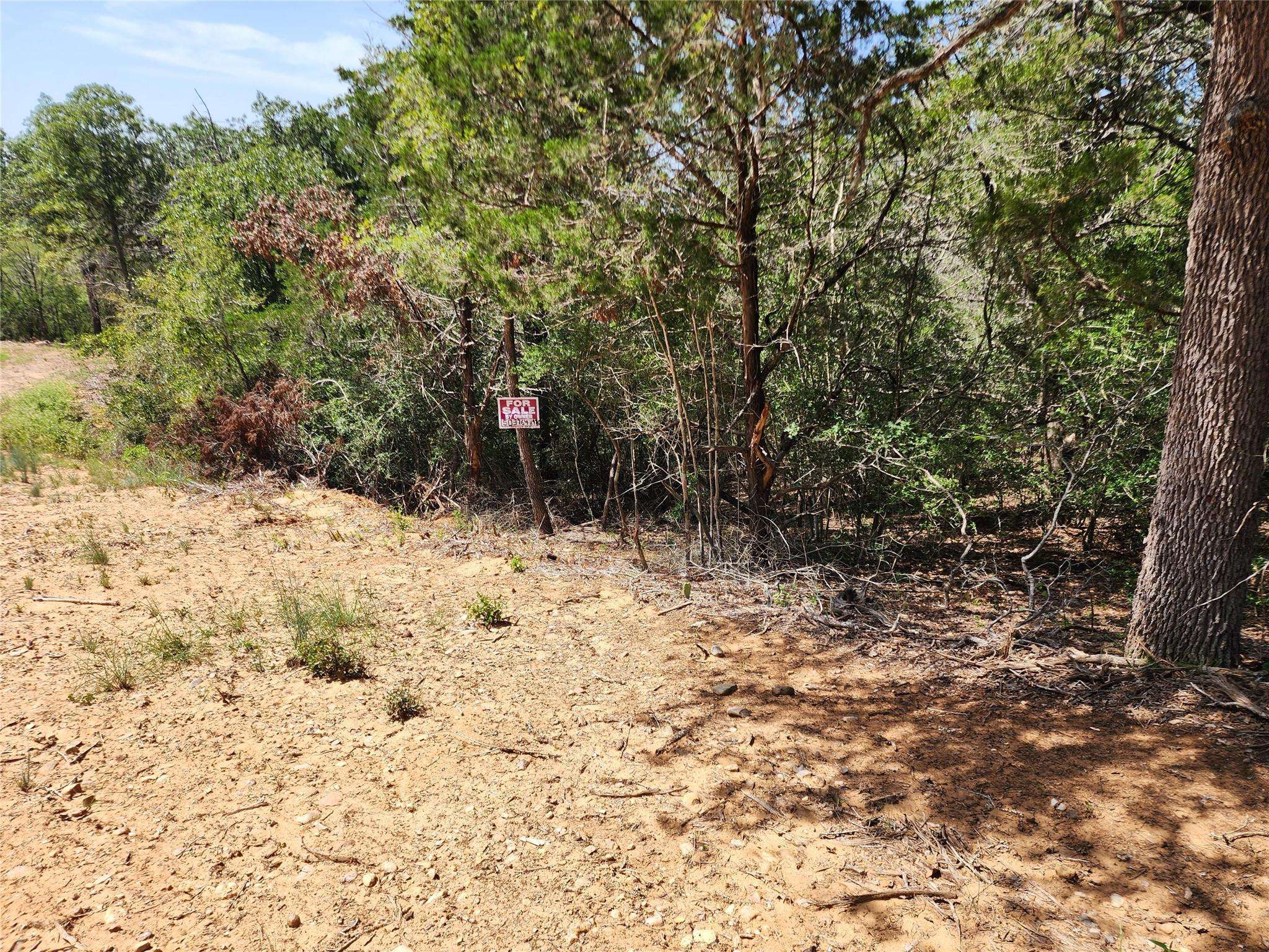 Bastrop, TX 78602,LOT 310 Kalihi Court CT