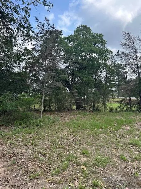 Smithville, TX 78957,TBD Wigwam (Lots 87 & 88) ST