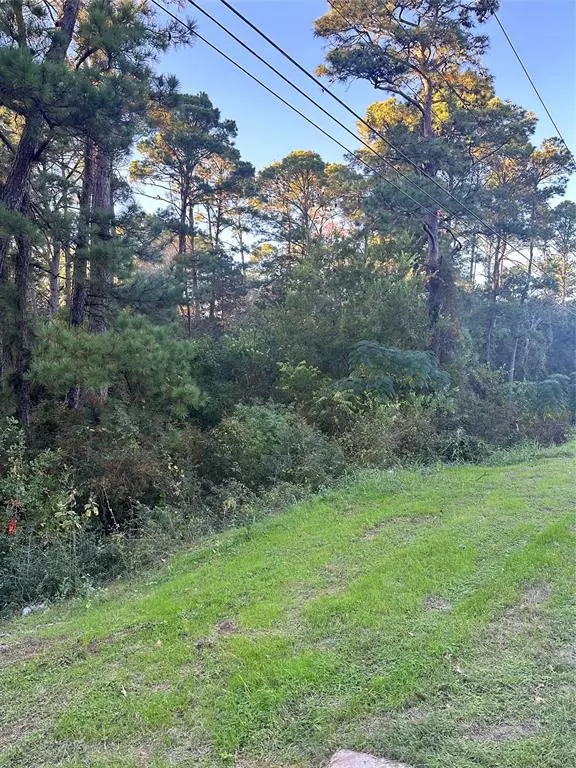 Bastrop, TX 78602,TBD Tahitian DR