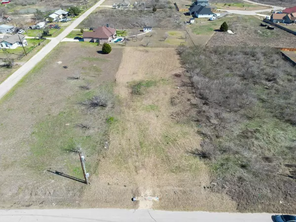 Niederwald, TX 78640,250 Burrobrush ST