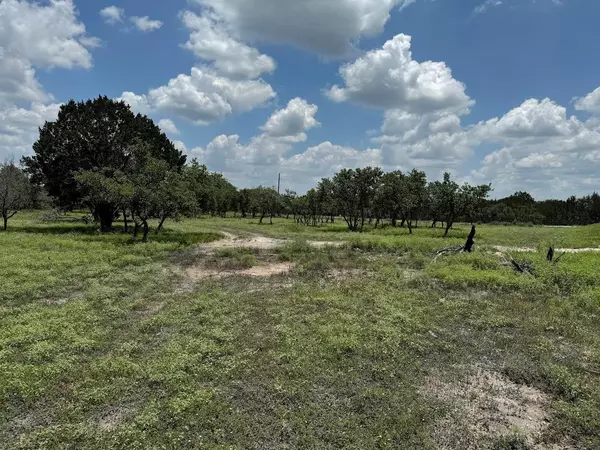 Briggs, TX 78608,Tract 28 Miller Creek