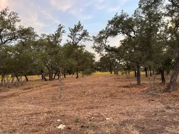 Burnet, TX 78611,Address not disclosed