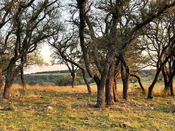 San Saba, TX 76877,Address not disclosed