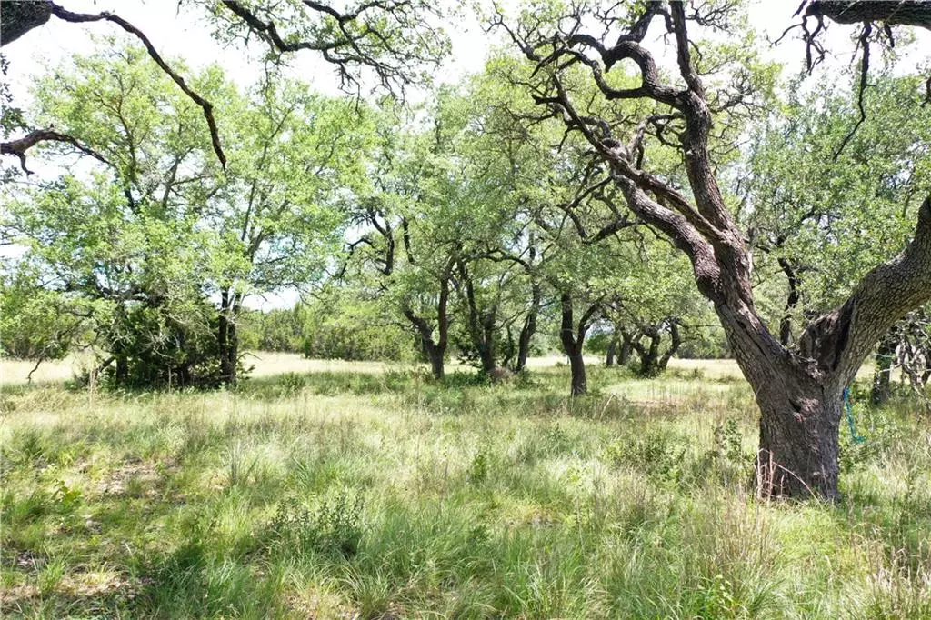 Dripping Springs, TX 78620,TBD Medlin Creek LOOP