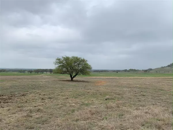 Gatesville, TX 76528,Lot 4 FM 1690