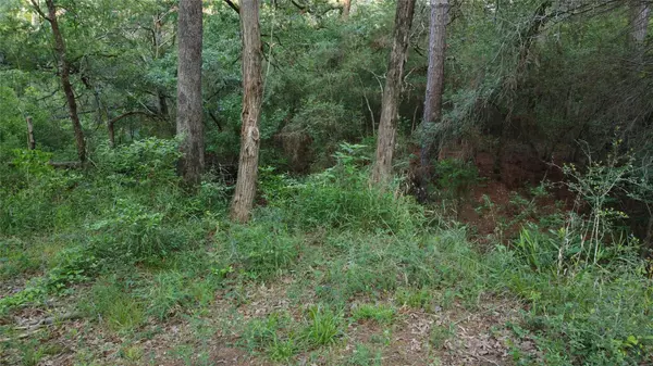 Bastrop, TX 78602,0000 Green Valley DR