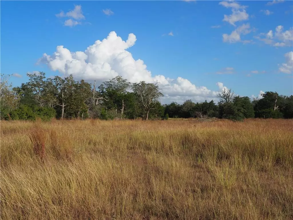 Harwood, TX 78632,58 Verbena TRL