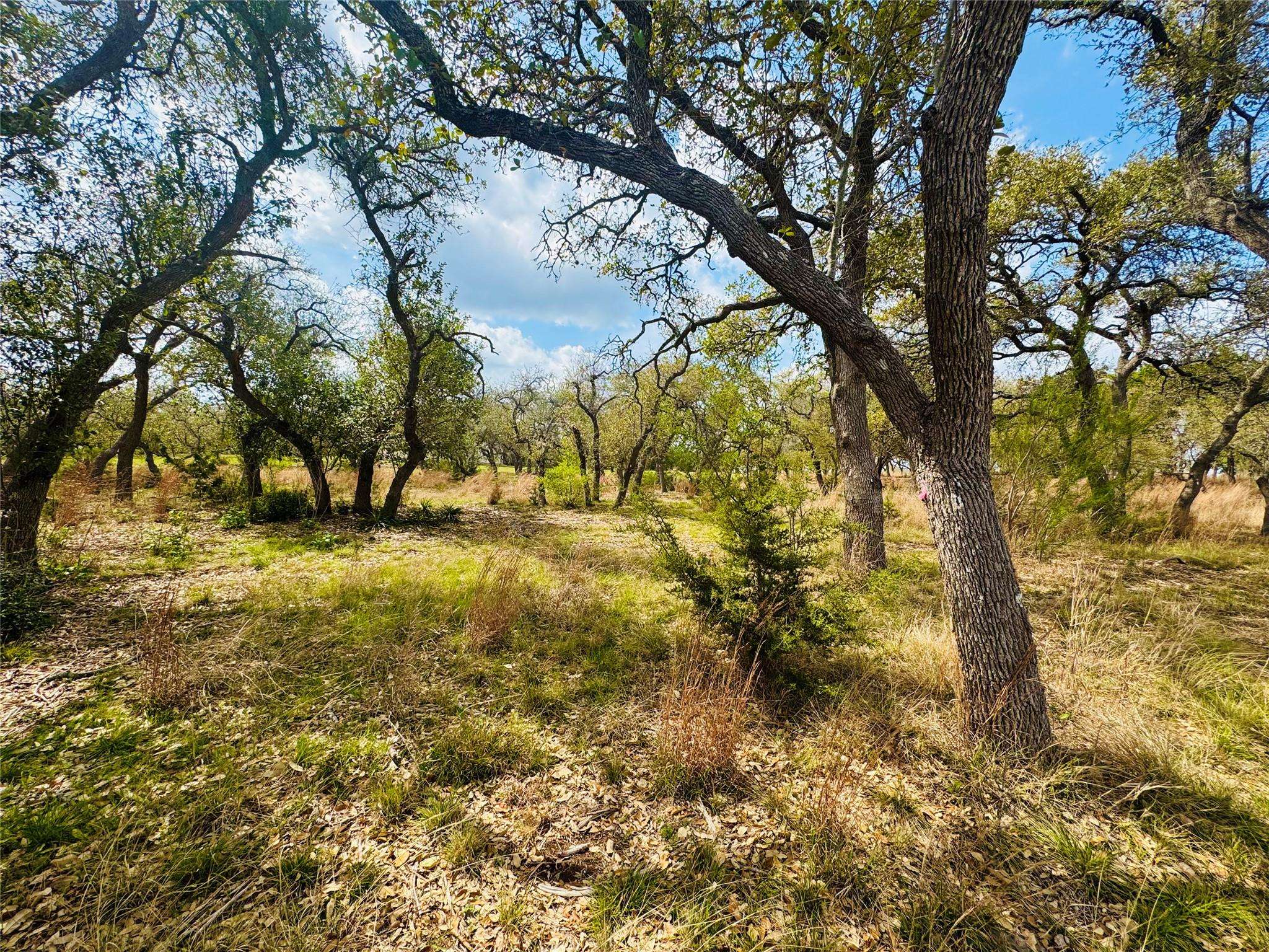Driftwood, TX 78619,122 Carousel LN